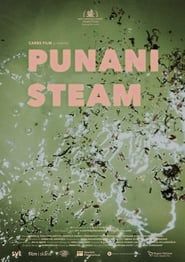 watch Punani Steam