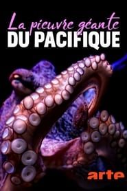 Image La pieuvre géante du Pacifique