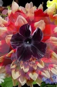 Image Mix Wildflower Seeds