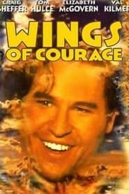 Guillaumet, les ailes du courage (1995)