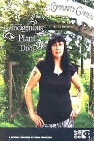 Image Indigenous Plant Diva