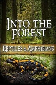 Image Into the Forest: Reptiles & Amphibians