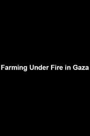 Image Farming Under Fire in Gaza