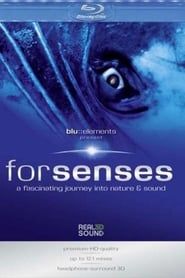 Forsenses：Blu Elements series tv