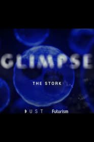 Glimpse Ep 2: The Stork series tv