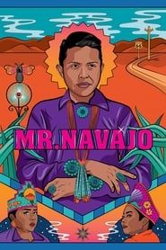 Mr. Navajo series tv