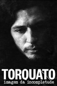 Torquato, Imagem da Incompletude (2020)