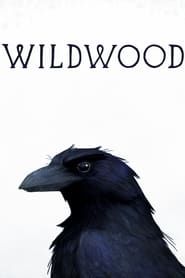 Wildwood-hd