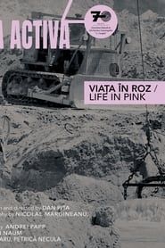 Life in Pink series tv
