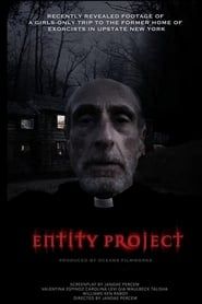 Affiche de Entity Project