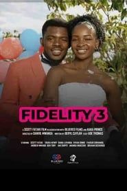 Fidelity 3 series tv