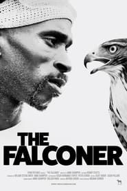 The Falconer series tv