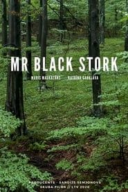 Mr Black Stork series tv