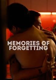 Image Memories of Forgetting