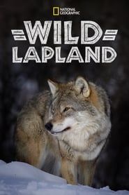 Wild Lapland series tv