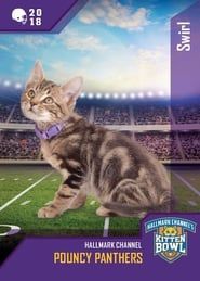 Kitten Bowl VIII Special series tv