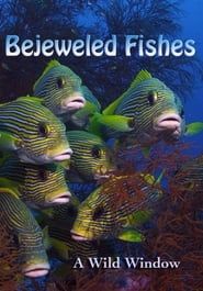 Affiche de Wild Window: Bejeweled Fishes