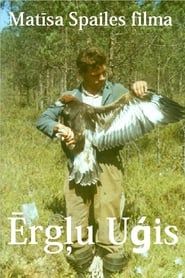 Affiche de Eagle Man