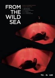 From the Wild Sea series tv