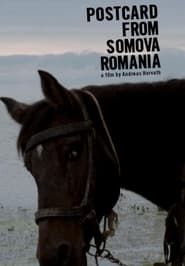 Image Postcard from Somova, Romania