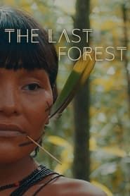 Affiche de La dernière forêt