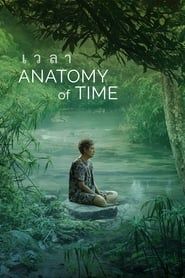 Anatomy of Time series tv