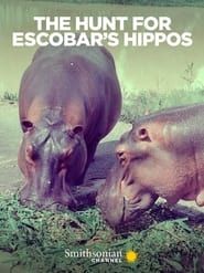 The Hunt for Escobar's Hippos series tv