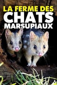 Image La ferme des chats marsupiaux - Un refuge en Tasmanie