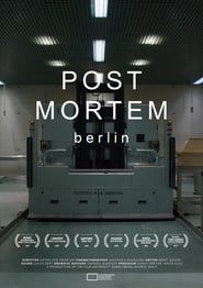 Post Mortem Berlin series tv
