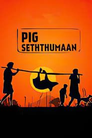 Seththumaan series tv