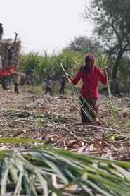 Inde : les villages sans utérus / RDC : le long chemin d’un salaire series tv
