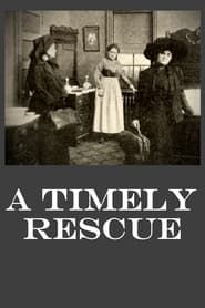 A Timely Rescue series tv