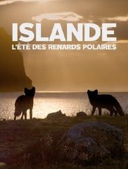 Islande, l’été Des Renards Polaires series tv
