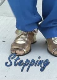 Stepping series tv
