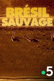 Brésil Sauvage - Avant le déluge series tv