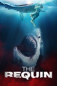 Voir The Requin (2022) en streaming