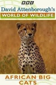 World of Wildlife: African Big Cats series tv