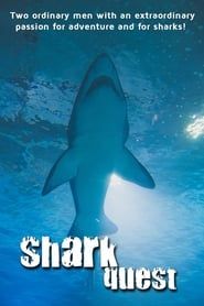 Image Shark Quest