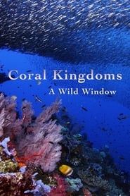 A Wild Window: Coral Kingdoms series tv
