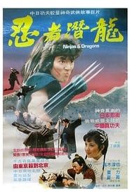 Image Ninjas and Dragons 1984