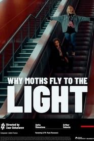 Image Why moths fly to the light?
