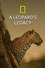 A Leopard's Legacy series tv