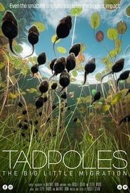 Tadpoles: The Big Little Migration series tv