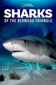 Sharks of the Bermuda Triangle series tv