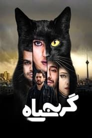 The Black Cat (2021)
