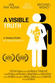 A Visible Truth series tv