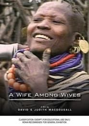 A Wife Among Wives (1981)