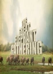 Image La gran reunión de los elefantes