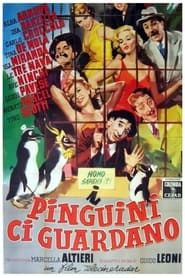 I pinguini ci guardano 1956 streaming