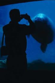 Affiche de The Aquarium